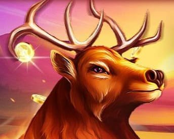 Red Stag Casino picture from the homepage